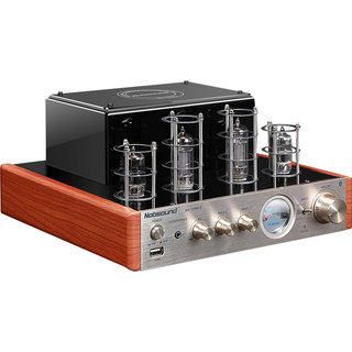 Hottest bluetooth hifi tube amplifier