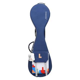 Pipa bag thickened oxford cloth water repellent new musical instrument