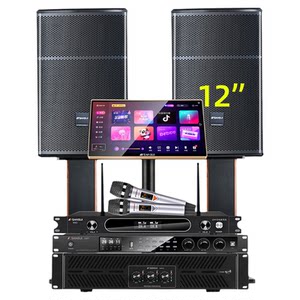 Shanshui sq12 professional ktv performance home audio