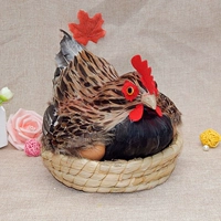 Инкубационное яйцо №1 цветочная курица с рамкой