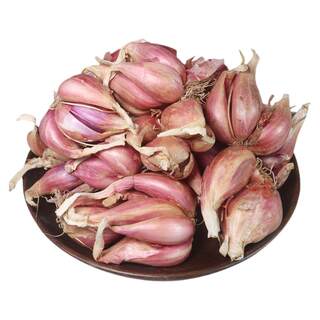 Red root chive seeds four seasons farmhouse potted plant