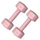 Recommended Good Products Yidi Dumbbells for Women’s Fitness Home Use