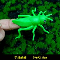 Пальцы кузнечика
