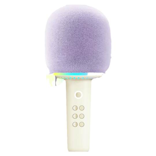 Government subsidizes Elvis Presley Audio Lollipop Microphone