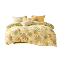 Mercury produces Belles Home Textiles three- or four-piece set Class A milk velvet antistatic can be slept in the nude machine washable washing kit