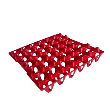 Egg storage box plastic egg holder 30 chicken duck goose eggs