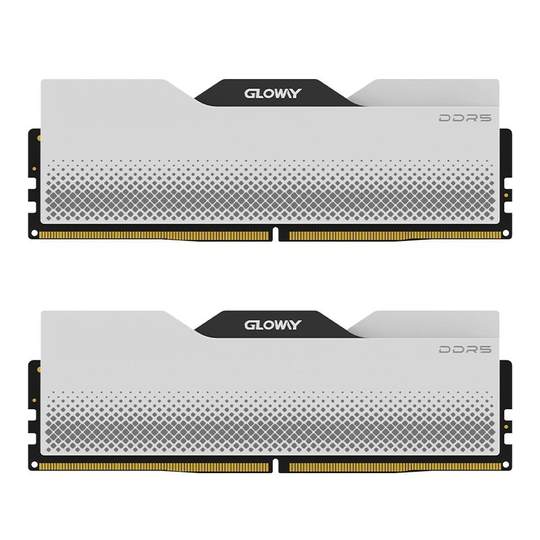 Guangwei Longwu/Tiance DDR5 desktop memory module
