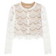 Bebe ladies design imitation hammer pattern exquisite lace small aroma short style jacket 340303