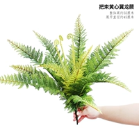 Большой букет желтосердцевого папоротника птерозавра