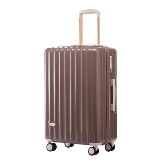 Suitcase for women's suitcase for students Japanese universal wheel 20