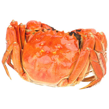 Sf express hairy crab fresh yangcheng gift box lake fresh