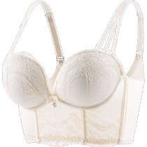 Underwear for women with small breasts push-up adjustable push-up large anti-sagging wire-free secondary breasts sexy lace bra