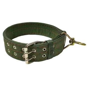Dog collar for medium-sized dogs | over 4,000 additional purchases