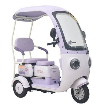 New national standard electric tricycle with hood, new brandable household small electric tricycle for the elderly and disabled people with a hood