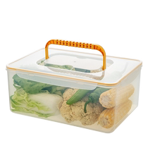 Освежающий Ящик Холодильника Специальное Пищевое Яйцо Содержащее Коробку Фруктовое Lunchbox Пластик Опечатанный Ящик