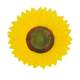 Children's Day admission chorus sunflower