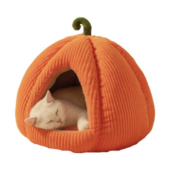 Winter pumpkin cat house