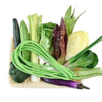 Lettuce broccoli teaching aids ornaments for children's simulated fruit Lettuce broccoli teaching aids ornaments for children's simulated fruit