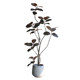 Highly simulated rubber tree black diamond in various colors and styles