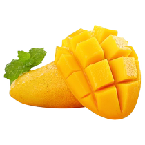 Hainan Xiaotainong mango 10 pounds freshly picked Xiaotainong seasonal tropical fruit specialty mango 5