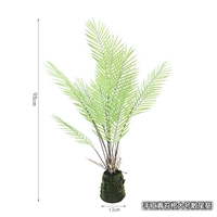 Большая розетка из корня мха своими руками.