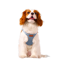 (Self-operated) Toteamo Harness Suit Teacup Small Body Mini Dog Walking Cat and Dog Vest Style Outing Leash