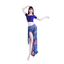Baiya Qianhui Belly Dance Practice Clothes 2024 Spring New Style Slim Short Sleeve Long Skirt Dance Clothes Stage Performance Clothes