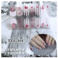 TZJ-101