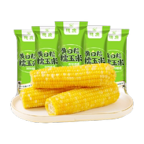 Suikang yellow and white waxy corn fresh and nutritious breakfast 260g*10 pieces whole grain meal replacement vacuum packed whole box sweet and waxy
