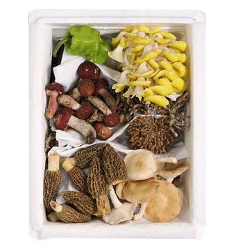 Various combinations of yunnan non-toxic mushroom hot pot fresh mushrooms