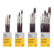Winsor & Newton imported gallery acrylic paint brush set professional painting wall painting diy hand-painted round head flat head beginner art students only