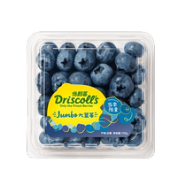 (Peruvian Season) Yikeberry Peruvian fresh blueberries limited edition large fruit 125g*6 boxes of seasonal sweet and sour fruits
