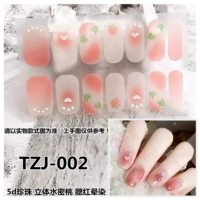 TZJ-002
