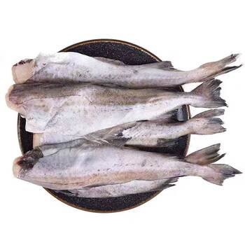 Fresh frozen 5 jin jin equals 0.5 kg grilled whole boneless pollack