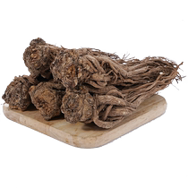 Wild old angelica 500g Gansu grade special Chinese herbal medicine official flagship store whole root sulfur-free non-codonopsis astragalus