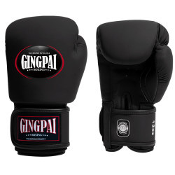 Jingpai Professional Boxing Gloves for Adults, Men and Women, for Sanda, Fighting, Muay Thai Training, Punching Bags, Fighting, 12oz