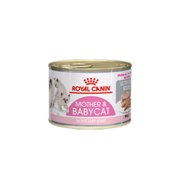 Royal Milk Cake Canned Staple Food Can Kitten Milk Cake Cat ກະປ໋ອງ Cat Staple Food Can Supplementary Nutrition Cat Snacks Cat Wet Food