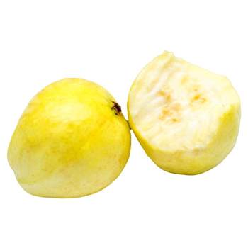 Sf escort soft and sweet creamy golden guava