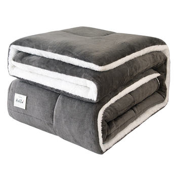 Winter quilt double milk velvet lambskin quilt 2025 winter double-sided plus velvet core quilt thickened and warm in winter