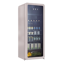 HCK Haschi Ice Bar Mound Bar Pro Frozen Refrigerated Cabinet Home Living Room Fridge Retro Office 3463