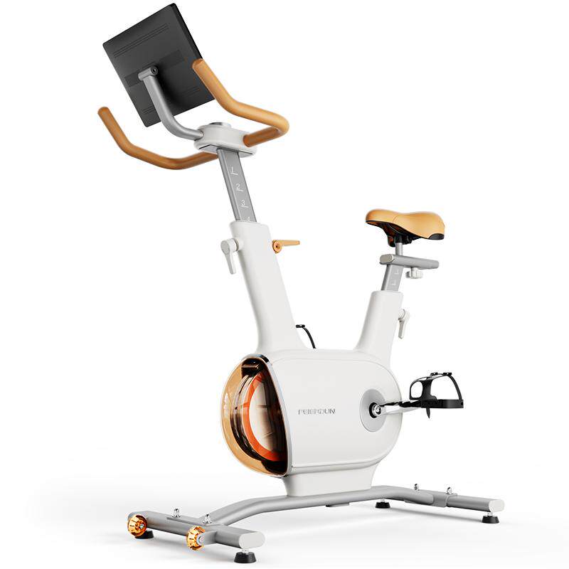 Felton double flywheel double magnetic resistance spinning bike