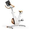 Felton double flywheel double magnetic resistance spinning bike
