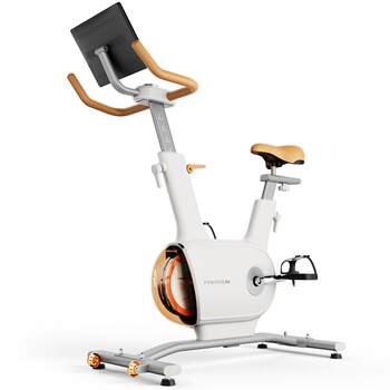 Felton double flywheel double magnetic resistance spinning bike