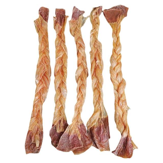 New toothbrushing stick replaces toothbrushing by air-drying duck esophagus