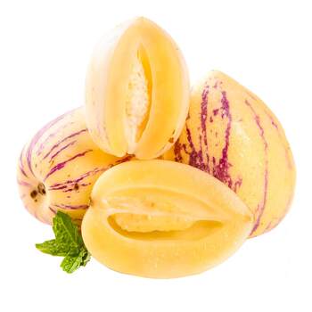 Gansu minqin desert ginseng is in stock quickly