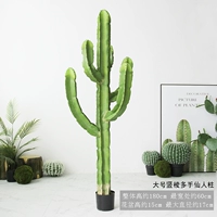 Большой вертикальный края многоуровневая фея колонка