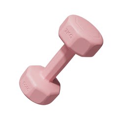 Dumbbells for Women's Fitness Home Exercise Equipment 2kg 3kg Pair for Training Glute Muscles and Slimming Belly Home Fitness Equipment