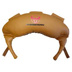 Croissant-Shaped Fitness Equipment Wrestling Training Water Bag Weighted Sandbag Squat Hip Bridge Sandbag Bulgarian Energy Bag
