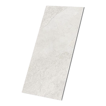 Dongpeng tiles 300x600 bathroom tiles kitchen non-slip kitchen and bathroom tiles bathroom toilet Foshan tiles