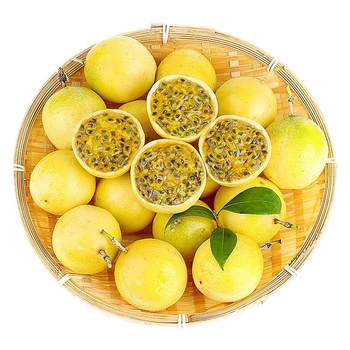 Zhang xiaozhuang qinmi no. 9 golden passion fruit